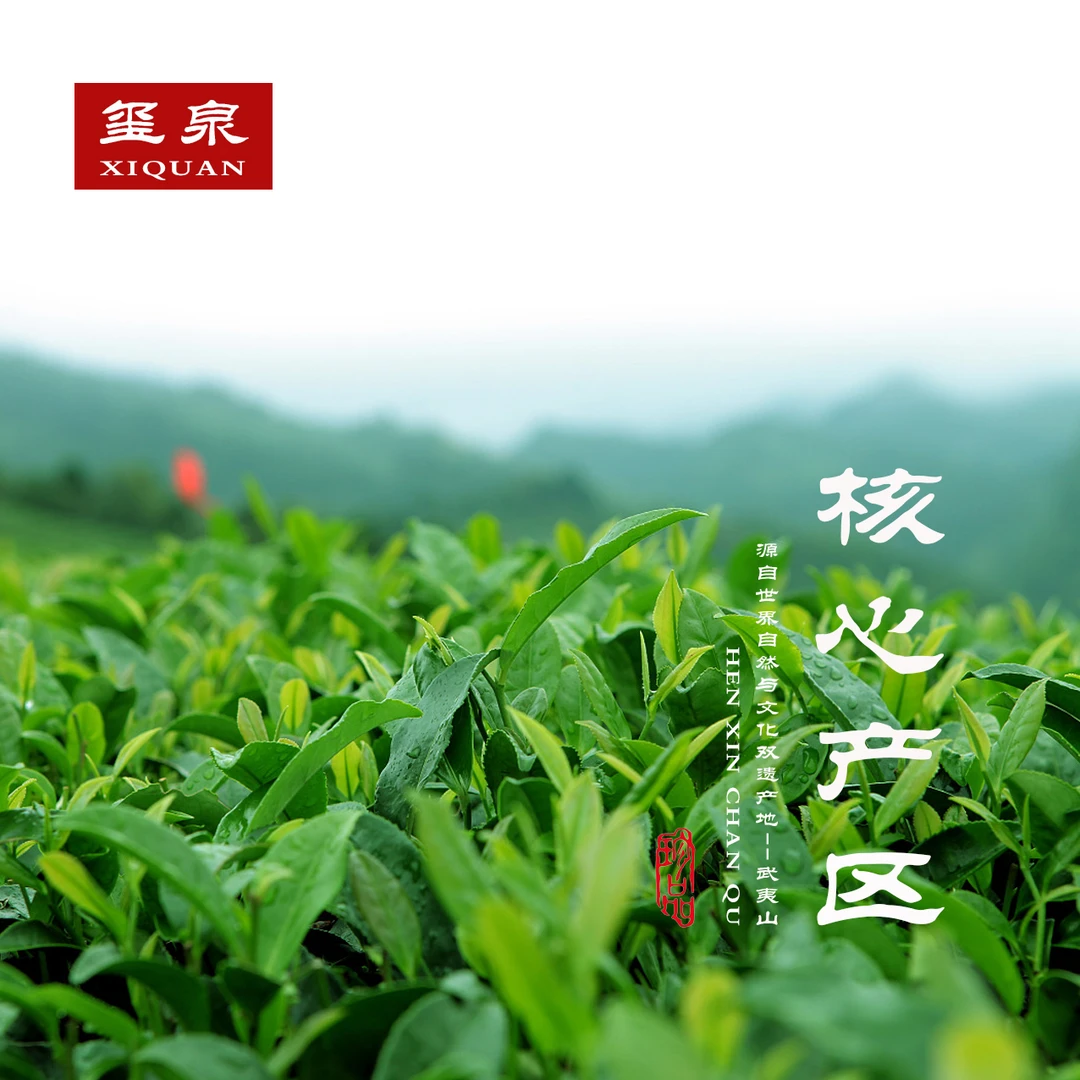 客服专用链接-换货-补差-茶