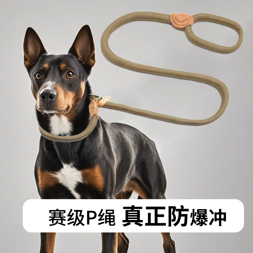 狗狗P绳子防爆冲P链遛狗牵引绳防挣脱狗链子中大型犬防爆冲拴狗绳