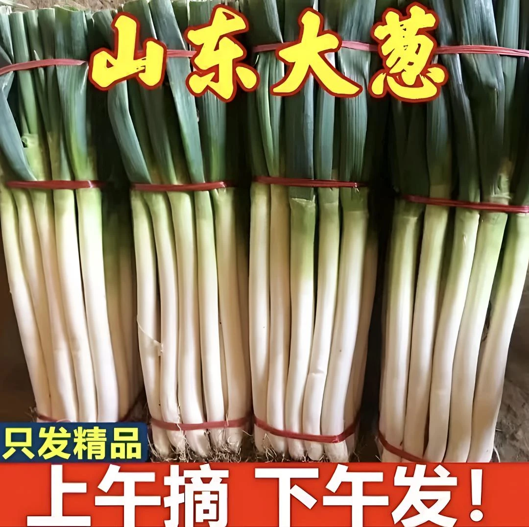 山东自家农场2024铁杆大葱源头现挖现发带老皮保证新鲜（10-15棵）