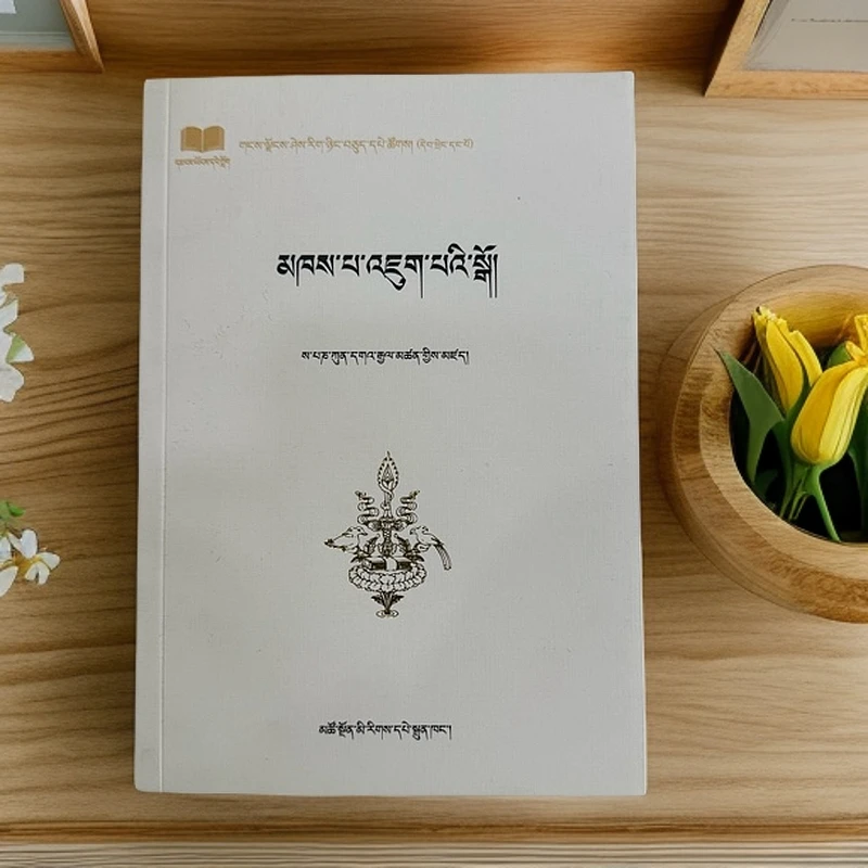 智者入门：萨班版书籍藏族书藏文版书本藏文书藏文书籍推荐