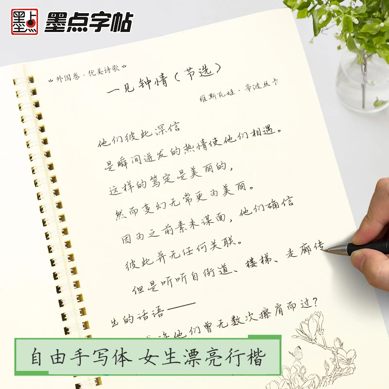 墨点手写体女生漂亮连笔字行楷字帖临摹成人大学生初高中练字钢笔