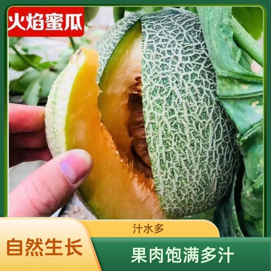 巴扎云选新疆火焰蜜瓜哈密瓜爆甜多汁现摘现发新鲜产地发货包邮