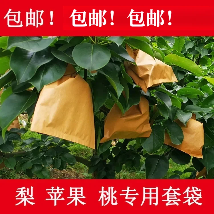 梨子套袋专用袋水果套袋果树防虫黄金梨套袋晚秋黄梨袋果袋防鸟虫