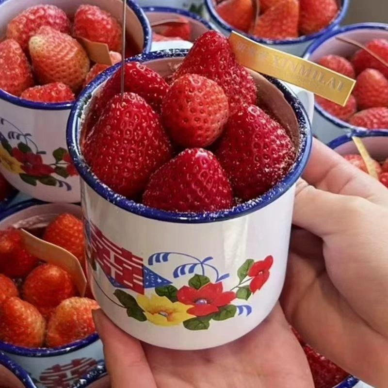 网红搞怪大红花搪瓷盆草莓水果圣诞节蛋糕装饰草莓搪瓷杯烘焙装扮