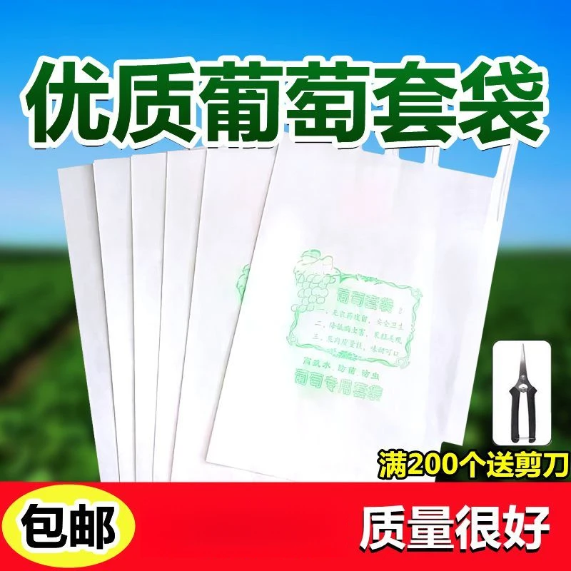 葡萄专用套袋纸袋防鸟防虫袋子防雨防水袋水瓜果蔬菜防病半透明袋
