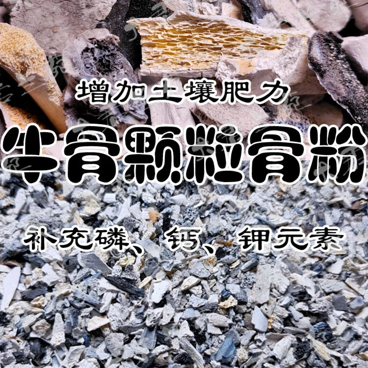 <8/12m中颗粒  >一斤装  君子兰钙磷钾牛骨专用
