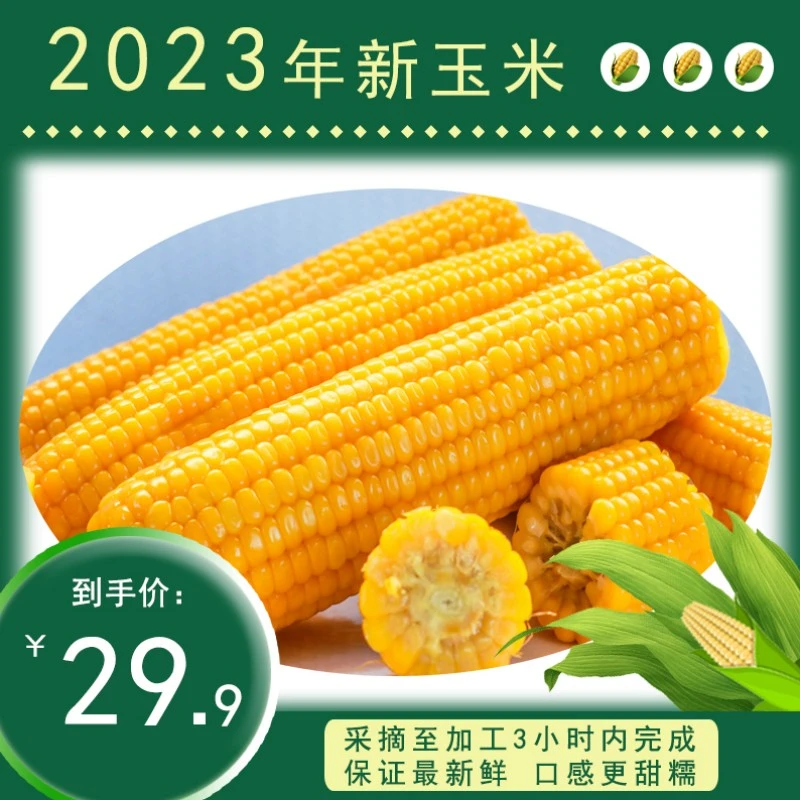 (卢小开优选)糯九8支装小棒双层包装袋黄糯玉米香甜软糯