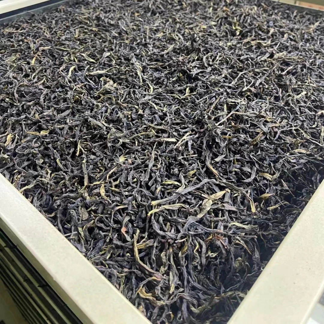 高山鸭屎香潮州凤凰单枞茶鸭屎香凤凰单丛茶叶春季高山单丛春茶