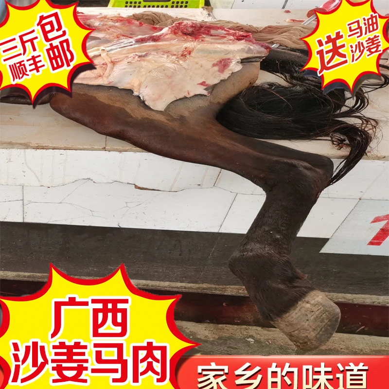 现杀新鲜马肉广西马山县特产前腿后腿马板肠马排马骨马蹄顺丰包邮
