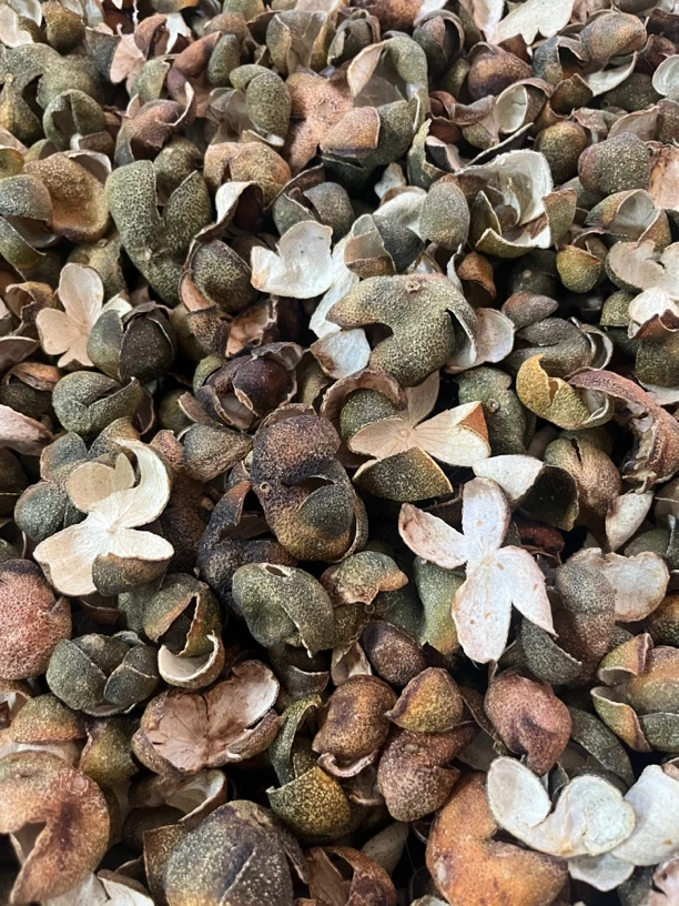 深山野山桔子皮煮水泡水甘爽清香