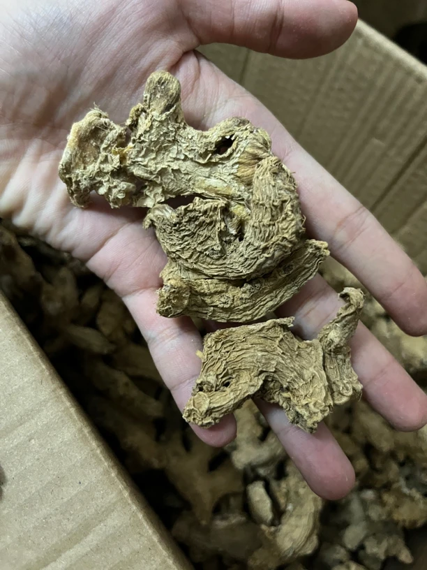 潮州凤凰山端午日正午瓦晒百日姜150克中秋节收