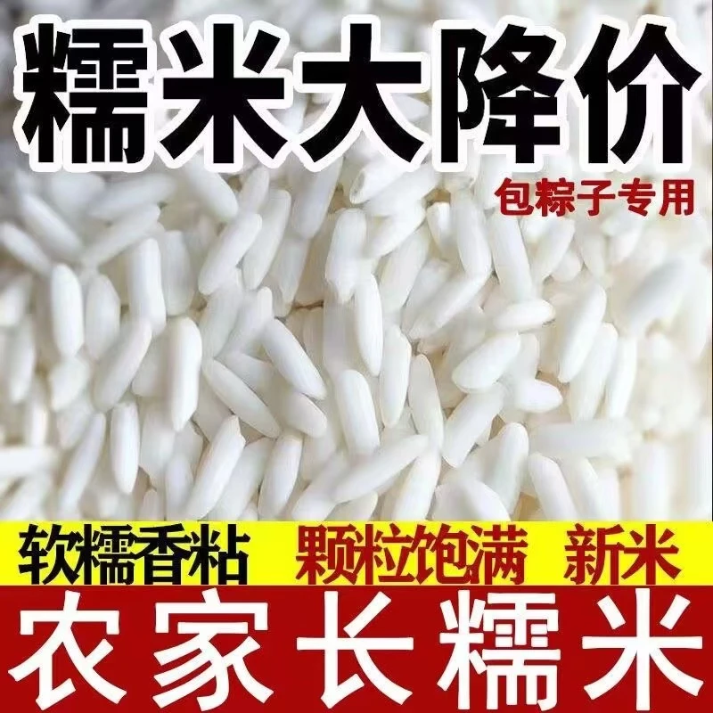 新鲜长粒糯米 24年新米农户自种长糯米酿酒包粽子糍粑糯米江米