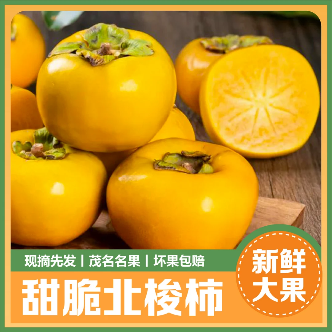 【现摘】新鲜大果广东信宜大成北梭柿脆甜爽口无涩水果巧克力柿包邮