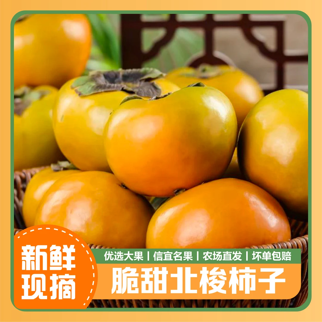 【现摘】新鲜现摘广东大成信宜北梭柿子脆甜无涩水果丰收季包邮