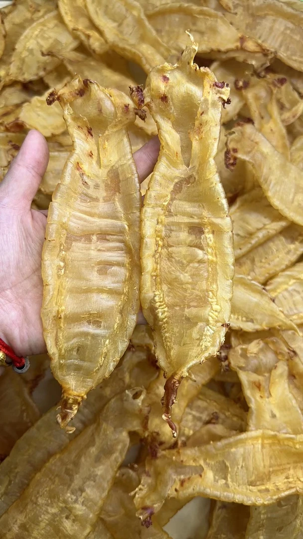 广东赤嘴鳘鱼胶1–500克(直播间改价)