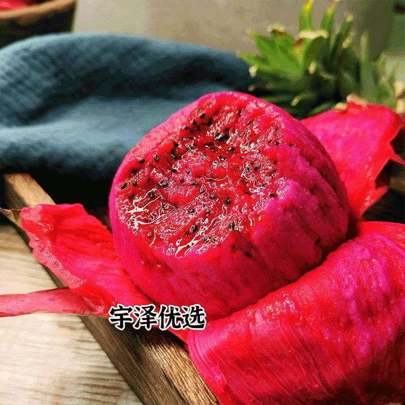 【整果】红绣球红心火龙果｜一个