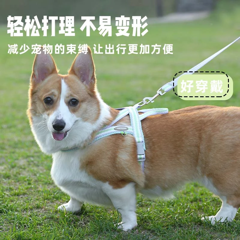 宠物牵引绳胸背轻便马鞍式胸背猫狗通用多巴胺撞色型犬可调节可爱