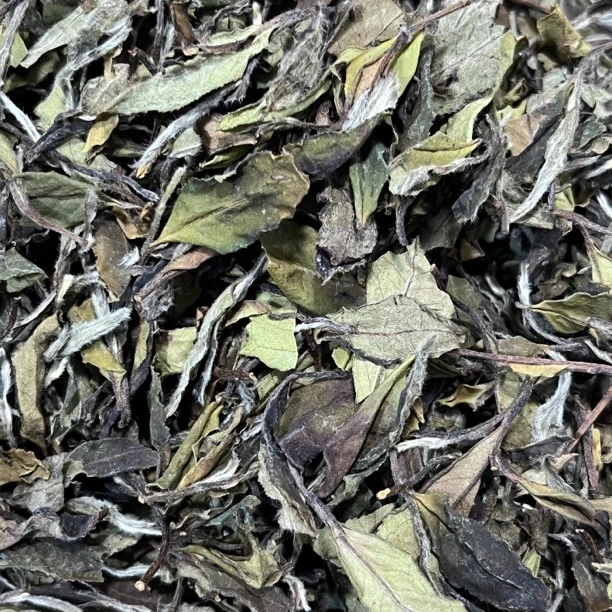 2017年 抛荒白牡丹二级 管阳 老白茶 核心产区茶叶