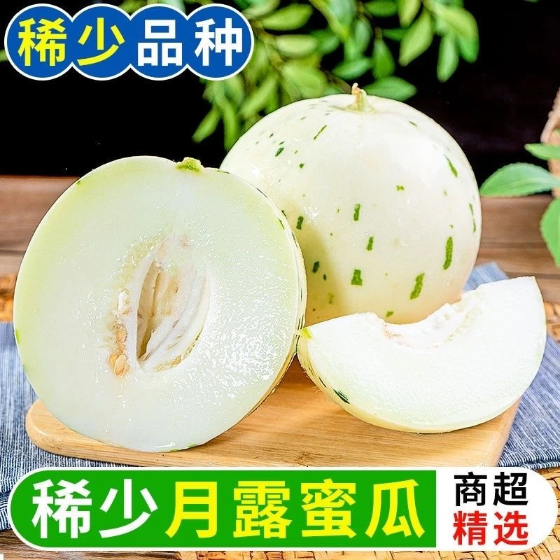 山东蜜露流星蜜露月露梦露甜瓜香瓜脆瓜产地现摘现发3斤整箱包邮