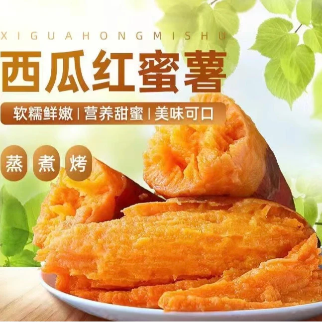 新鲜现挖农家自种西瓜红红薯香甜软糯红心红薯健康粗粮
