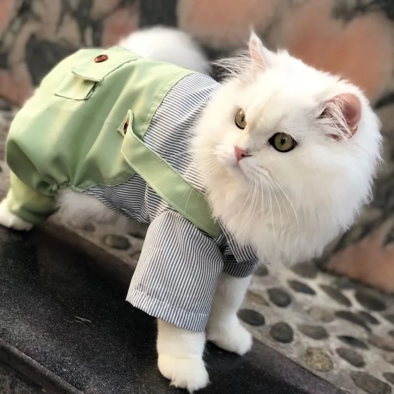 宠物猫咪衣服四脚衣舒适条纹背带裤薄款蓝猫布偶幼猫春夏季防掉毛