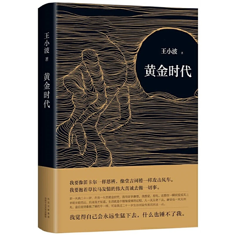 新华书店王小波时代系列 黄金时代 白银时代 黑铁时代