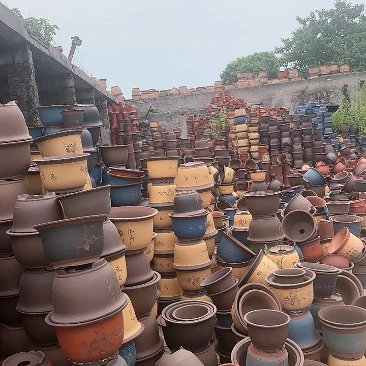 红陶20CM（含）-50CM（不含）