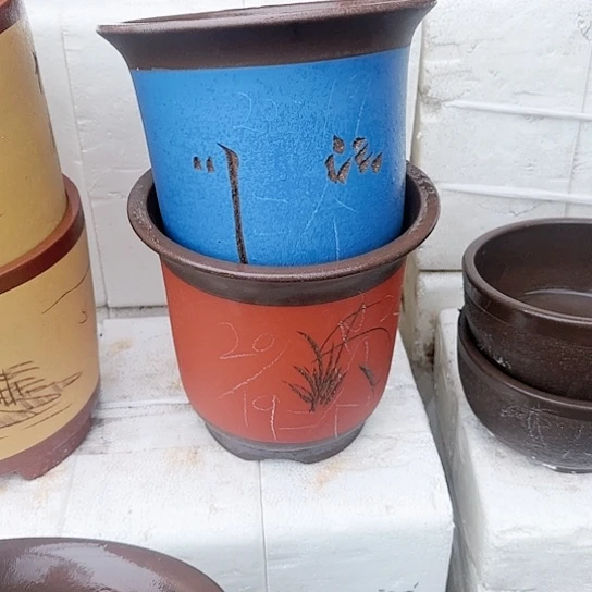 红陶300CM及以上43号