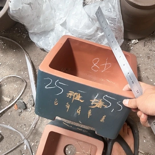 红陶300CM及以上