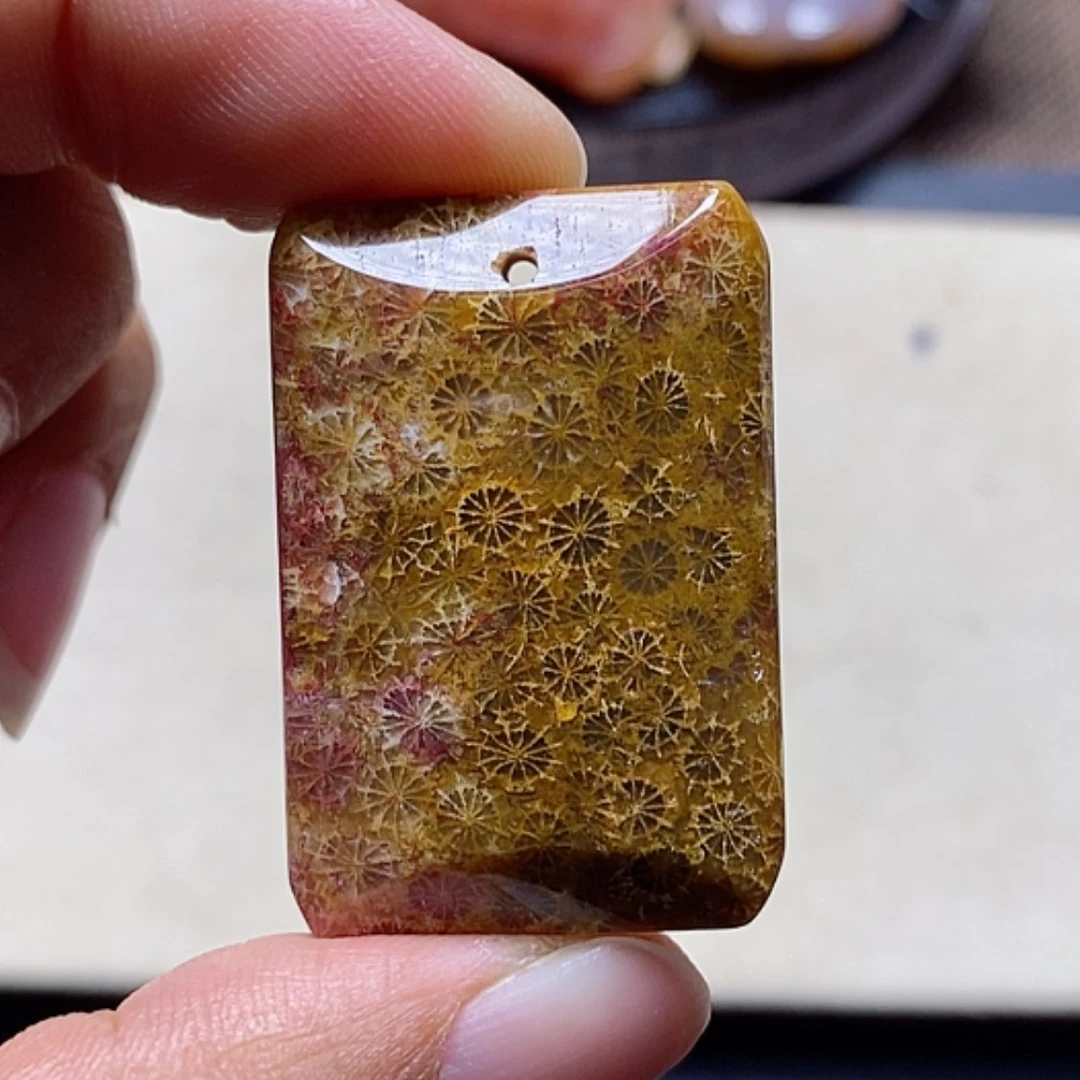 【闪购商品】硅化珊瑚(珊瑚玉)颈饰未镶嵌见*