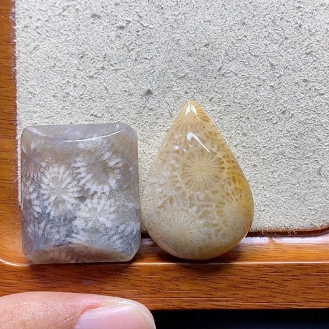【闪购商品】硅化珊瑚（珊瑚玉）颈饰未镶嵌见*