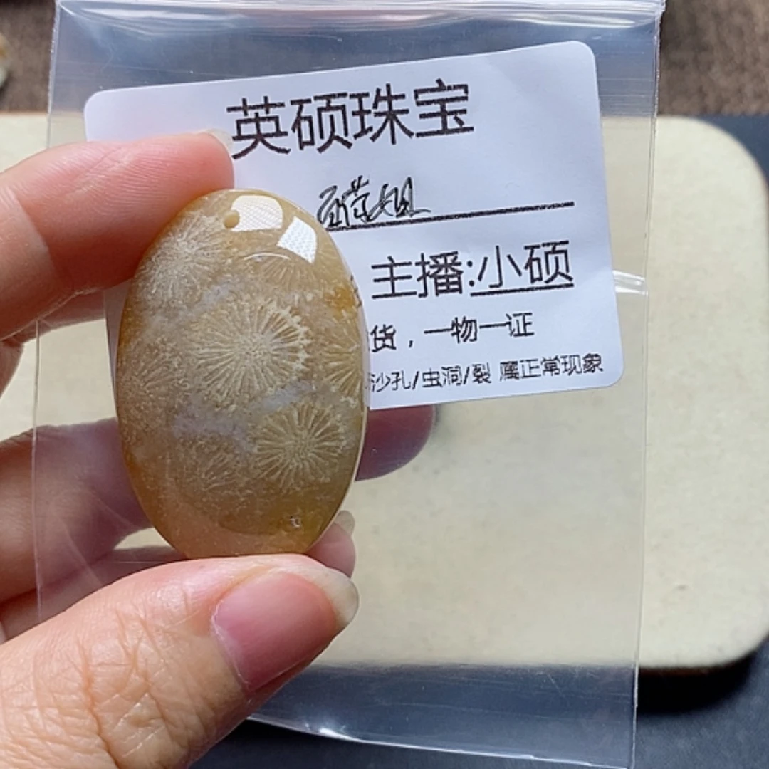 【闪购商品】硅化珊瑚（珊瑚玉）颈饰未镶嵌百**?