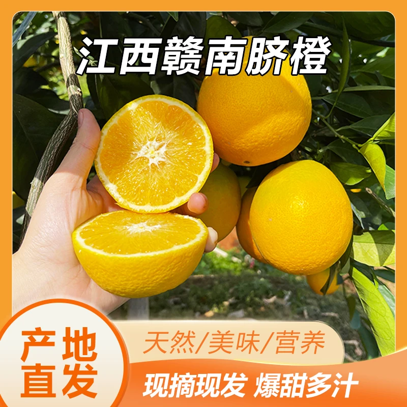 赣南脐橙新鲜当季5/10斤酸甜薄皮榨汁橙子