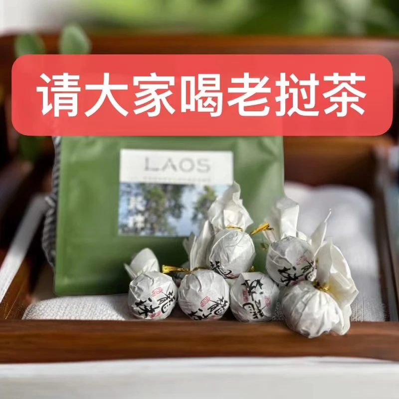 saochan老挝原始森林古树手工生茶龙珠100克品鉴装(约12颗)