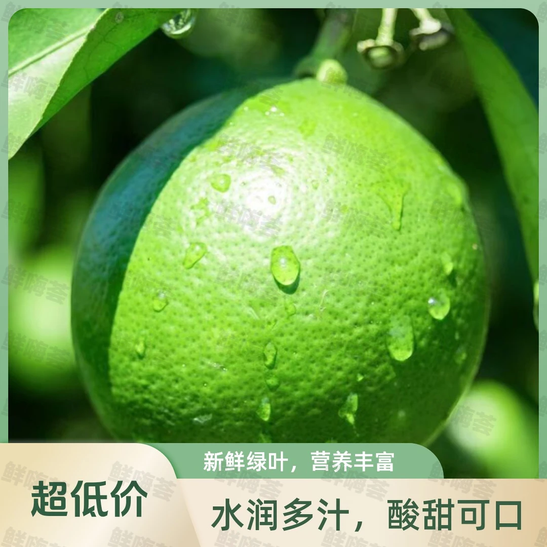 【包邮福利】塔西提香水柠檬青柠檬新鲜鲜果皮薄规格采摘香气无籽