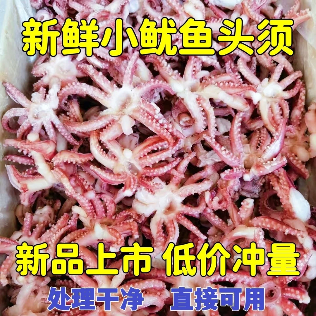 小鱿鱼须批发商用鱿鱼头小八爪须新鲜冷冻无冰衣铁板烧烤火锅食材