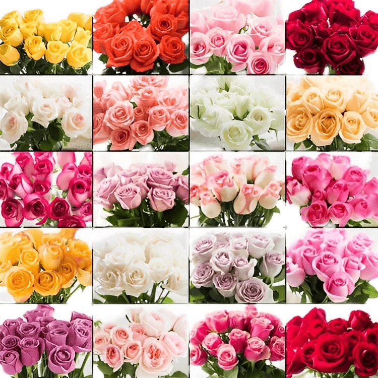 【A088】玫瑰组合，百分之二十不售后.盲盒