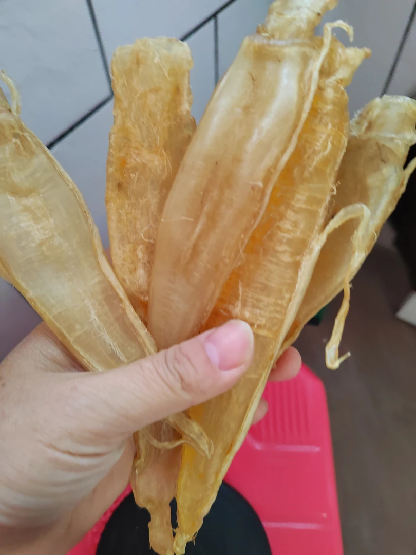 广东汕头南澳双须金龙胶口感粘糯100克~500克孕前后术后滋补佳品