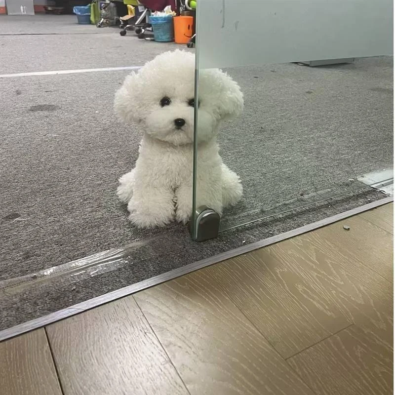 仿真可爱毛绒玩具狗狗小比熊毛绒仿真狗狗送男女朋友生日礼物