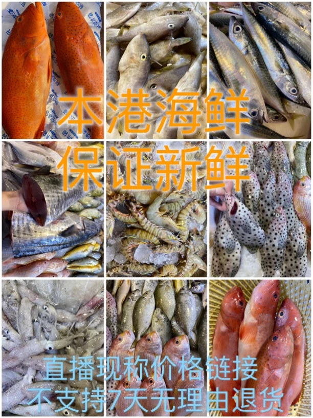 现场直播自选鱼类套餐链接广东省内5斤起包邮
