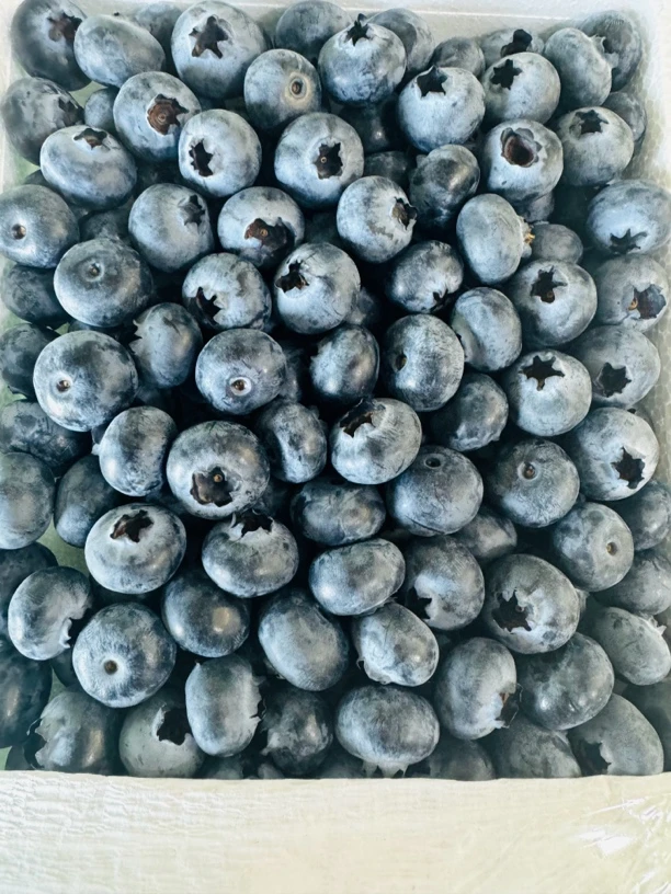 （EMS快递，坏10粒无售后）大小不等，蓝莓大果16-18mm净400克