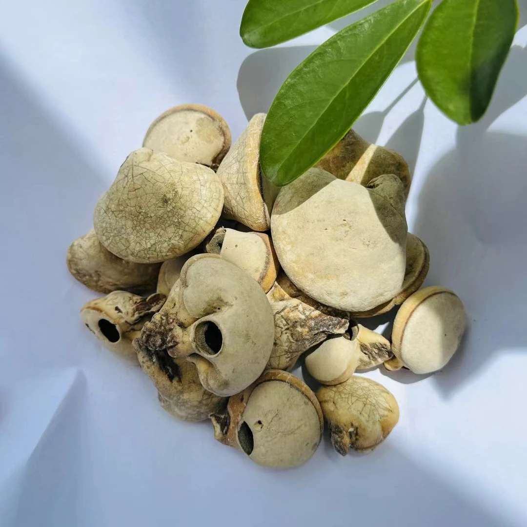 【小雪収好货】现收 土特产 须-元-菓 250克-500克食用农产品