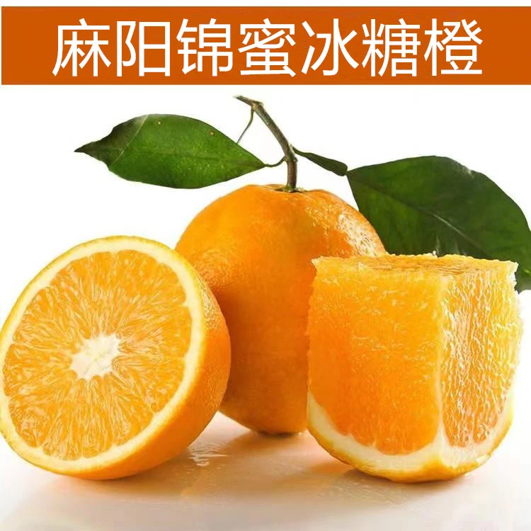 【主播推荐】湖南麻阳锦蜜冰糖橙纯甜口感新鲜采摘水果5斤9斤包邮