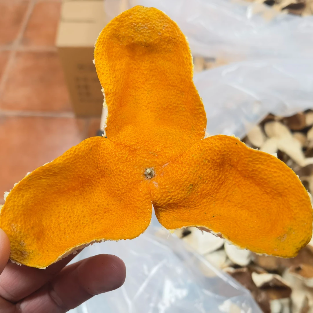 2024年新会茶坑村圈枝老树陈皮正宗新会圈枝老陈皮