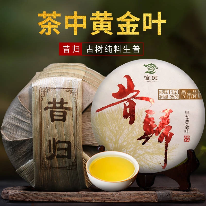 【茶中黄金叶】昔归早春古树纯料生普,懂的人都在囤-0420