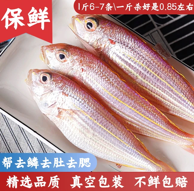 金线鱼阳江灯光船正宗金丝鱼刀里鱼南海海鲜(6~7条/斤)默认帮杀