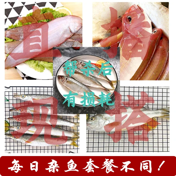 【直播5】海杂鱼阳江南海混装大套餐(讲解再拍)