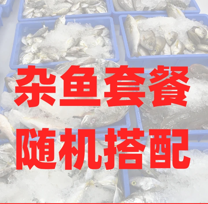 【中杂】海杂鱼阳江混装套餐中杂鱼（讲解再拍！）