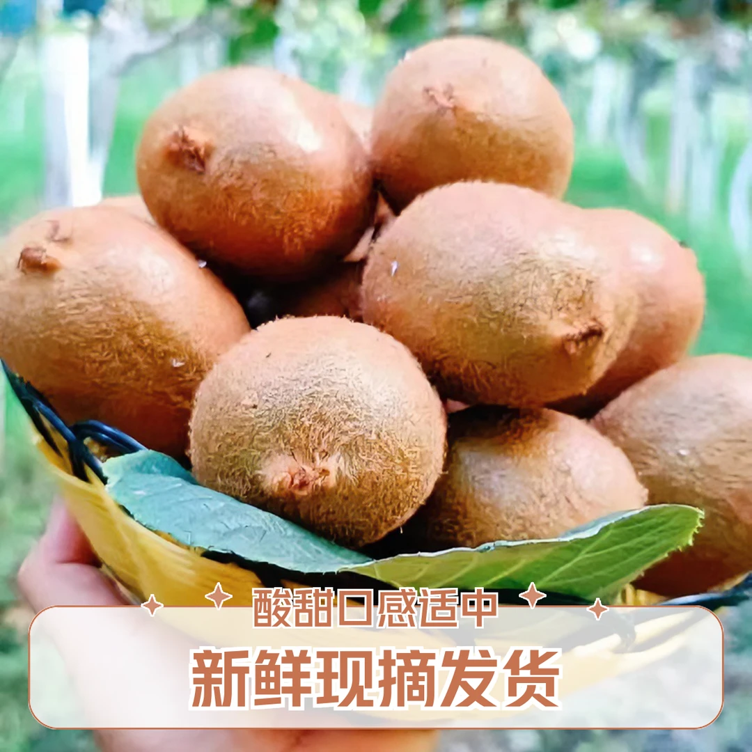 眉县徐香猕猴桃眉县猕猴桃大果新鲜果园现摘发货新鲜猕猴桃包赔