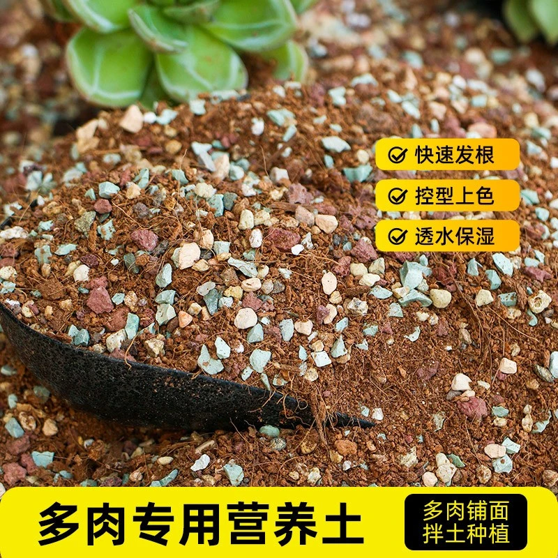 【买5斤送5斤】多肉颗粒土铺面营养均衡多肉通用控型疏松